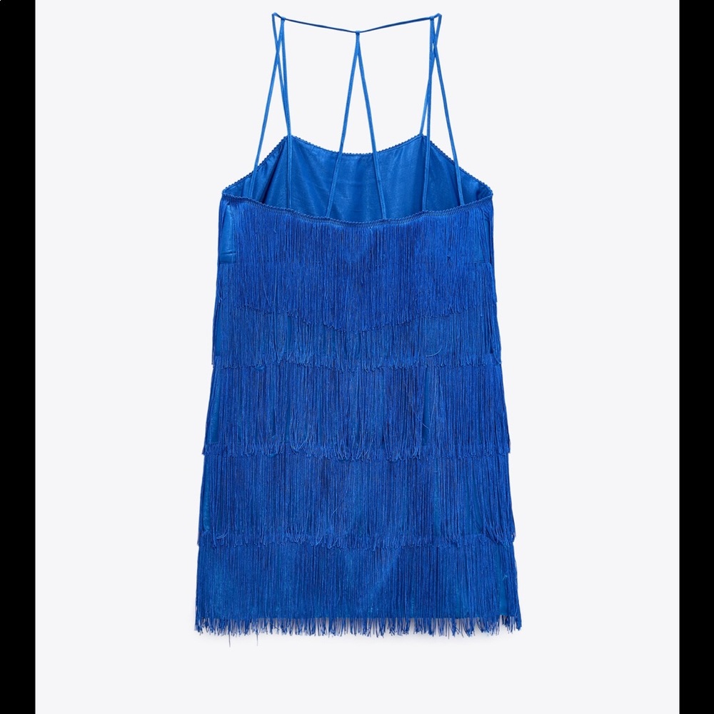 • Zara • Fringed Mini Dress - Picture 9 of 11